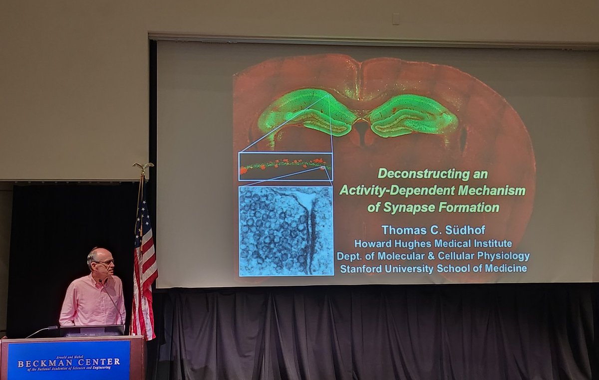 It's always a great time with my favorite mentor and colleagues ❤️ 😍 thank you cncm for a great conference! <a href="/UCIMedSchool/">UC Irvine School of Medicine</a> <a href="/UCI_NeurCircuit/">UCI Center for Neural Circuit Mapping</a> <a href="/AnatomyNeurobio/">Dept of Anatomy & Neurobiology, UC Irvine</a> <a href="/AutumnSkyeIvy/">Autumn Ivy MD PhD</a> <a href="/hunt_lab/">robert hunt 🔥</a> <a href="/j_diaz_alonso/">Javier Diaz Alonso</a>