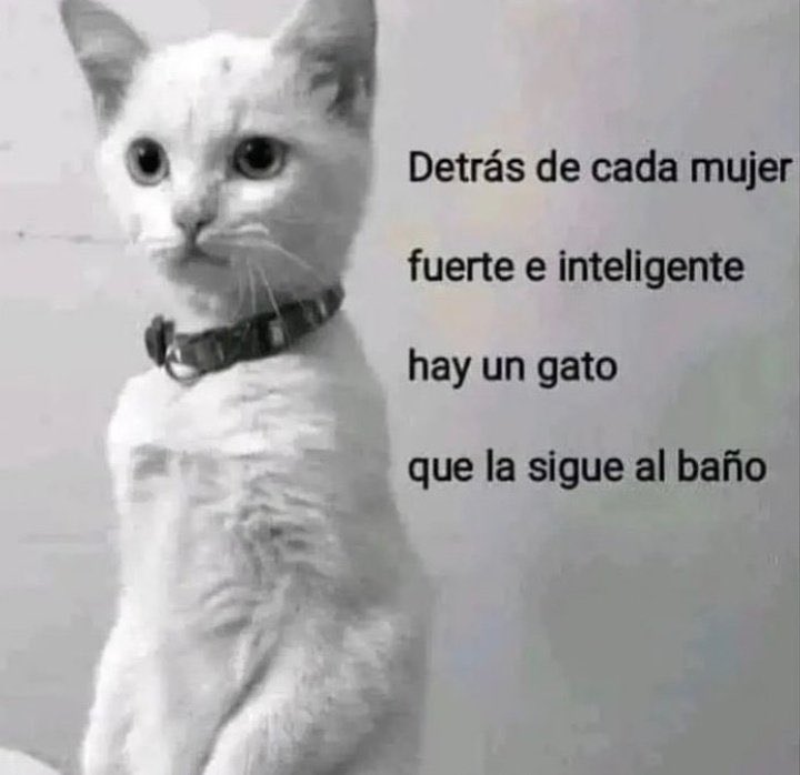 es real