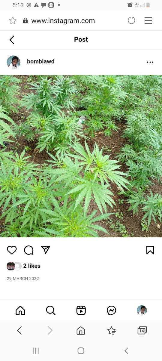 Mike (@bomb_lawd) on Twitter photo 