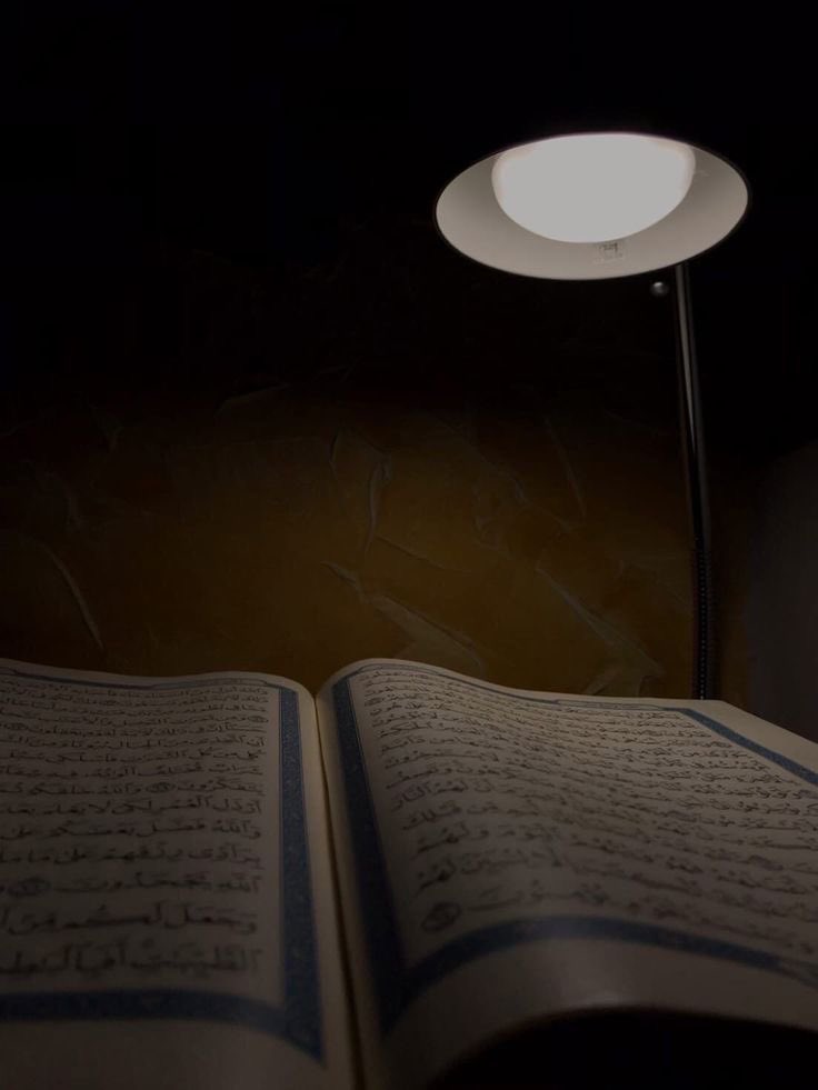 ahmad_alnufais's tweet photo. التكرار الكثير قد يتعبك اليوم، لكنك ستجد ثمرته غدًا في ثبات محفوظك والطلاقة في السرد🪴 https://t.co/Z83An4N3xU