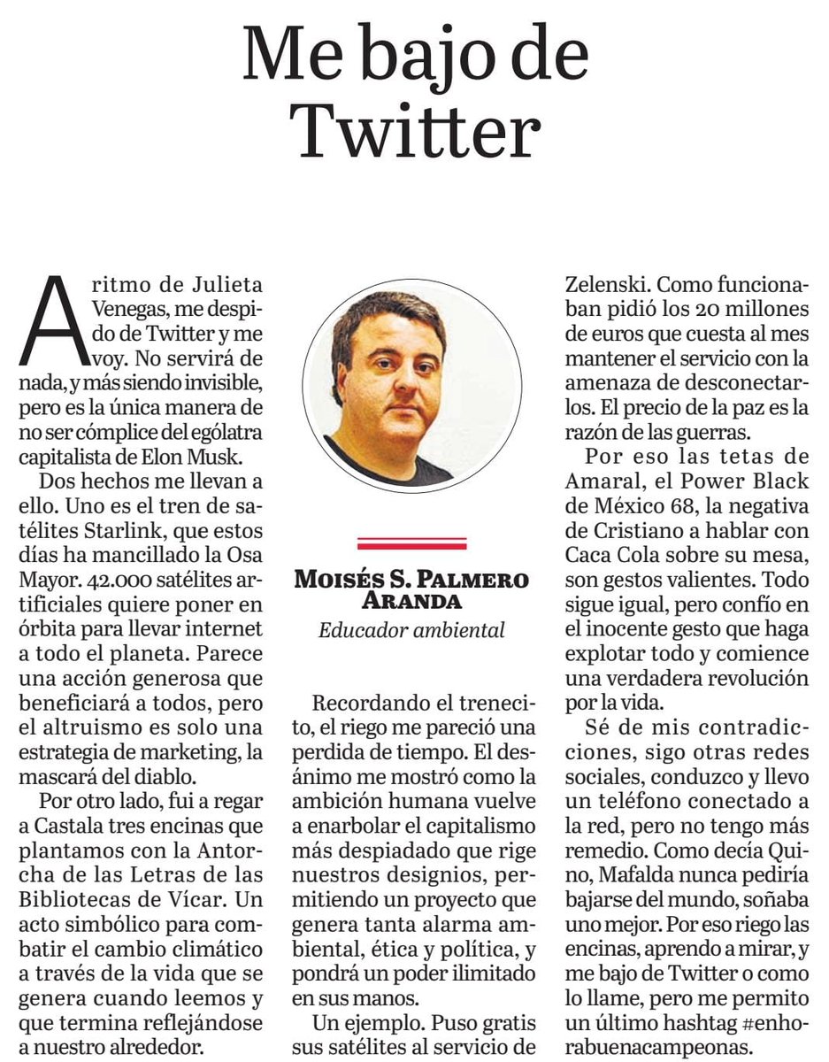 Moi Palmero tweet media