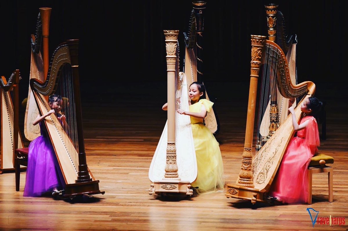This summer, we were delighted to support the 6th Rave Harps International Prestige Award 2023 for Chamber music. A feat of organisation by Katryna Tan and the Singapore harp society 💐