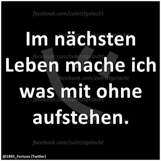 freierPirat 🏴‍☠️ tweet media