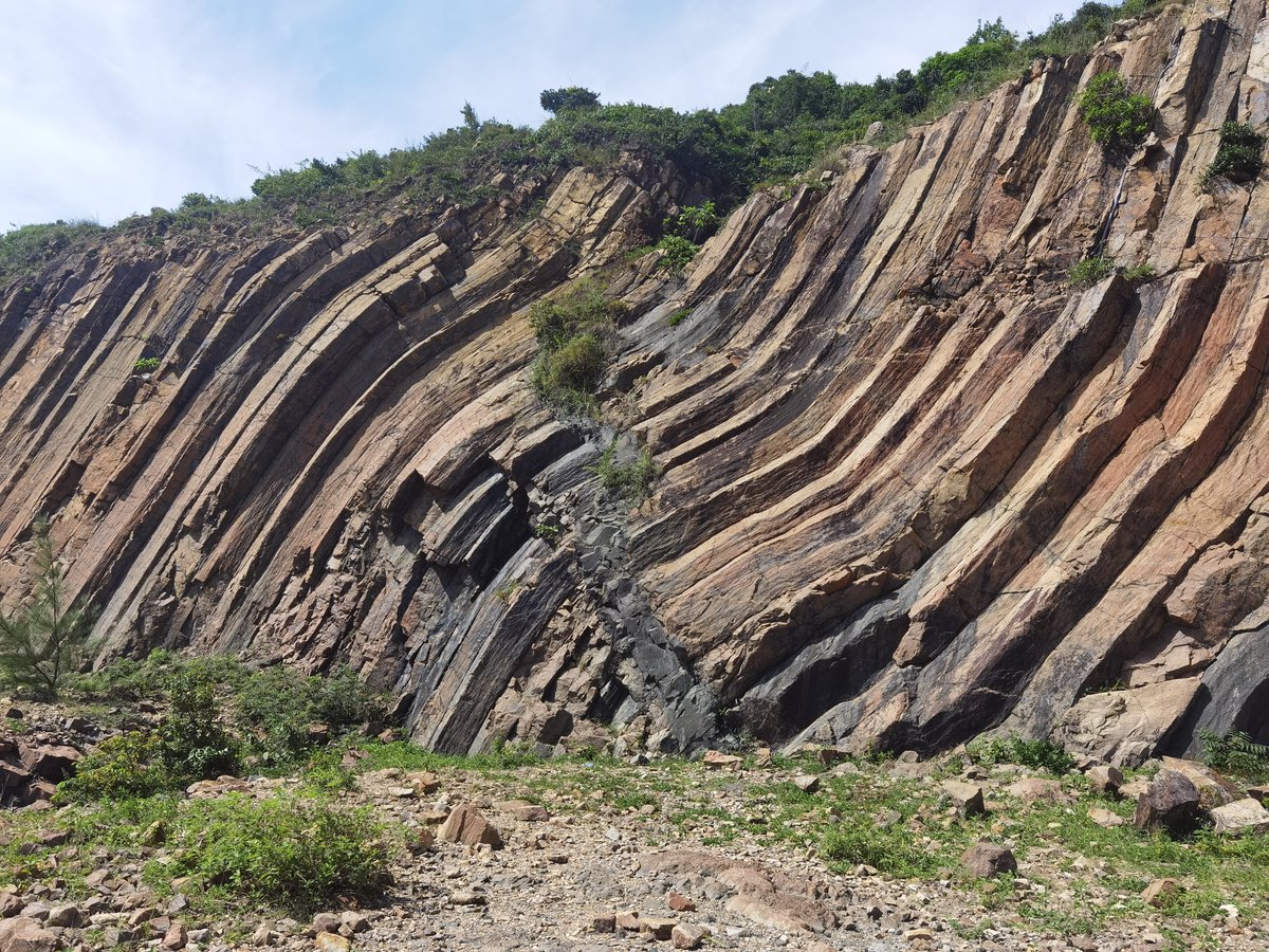 adelanyaying's tweet photo. Being here in Hong Kong, this rhyolitic columnar rock, from Cretaceous (c.143 Ma) High Island Supervolcano eruption, is definetly something you dont wanna miss. https://t.co/Qg6sHYmYsZ