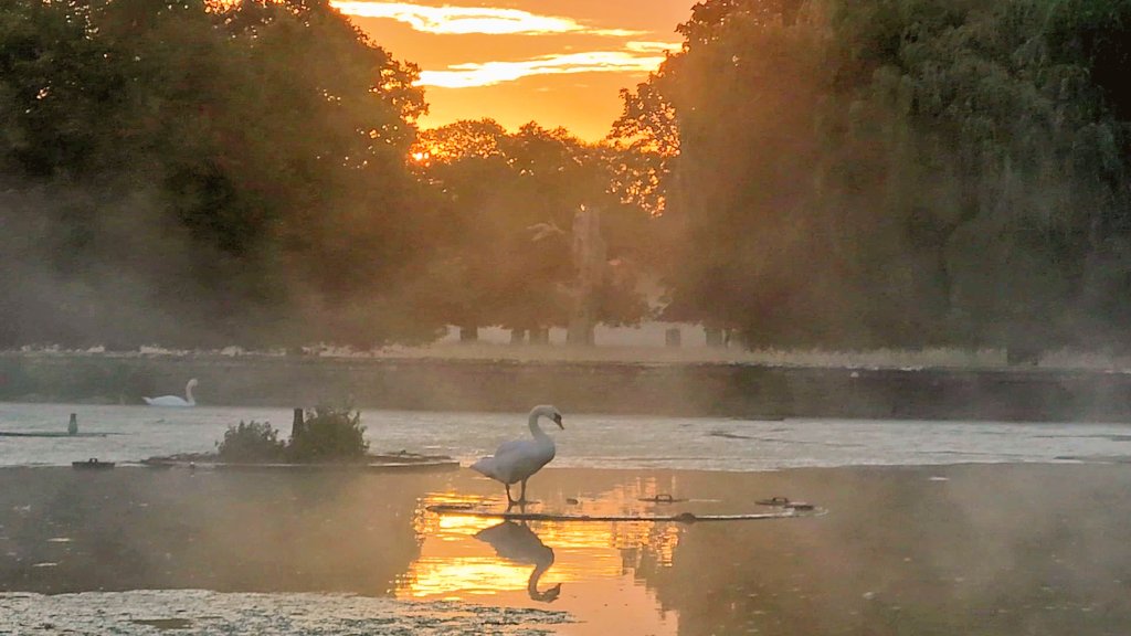 Stunning sunrise 🌅 over The Longwater in Home Park.  An awesome way to start of Wednesday morning. 
#loveukweather #naturelovers #yourskies #capturingbritain #mentalhealth @theroyalparks @metoffice @itvlondon @SallyWeather