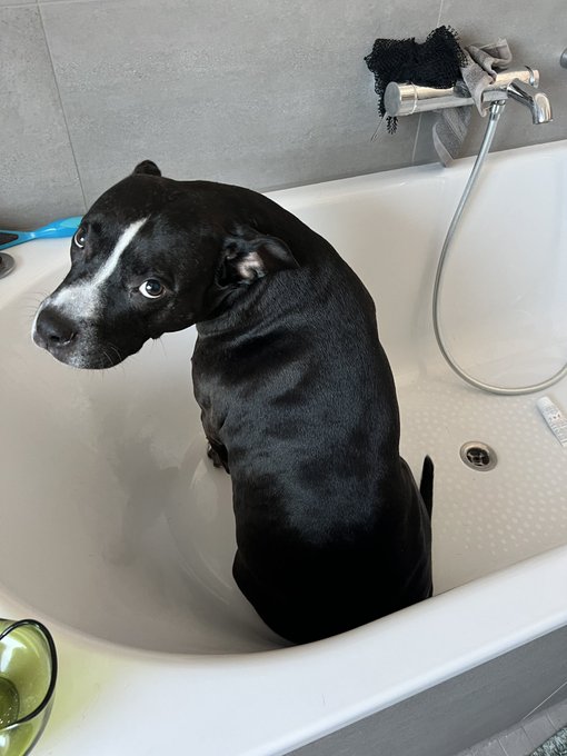 why is she in the tub https://t.co/RQy4cZPPQ7