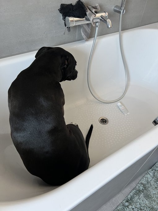 why is she in the tub https://t.co/RQy4cZPPQ7