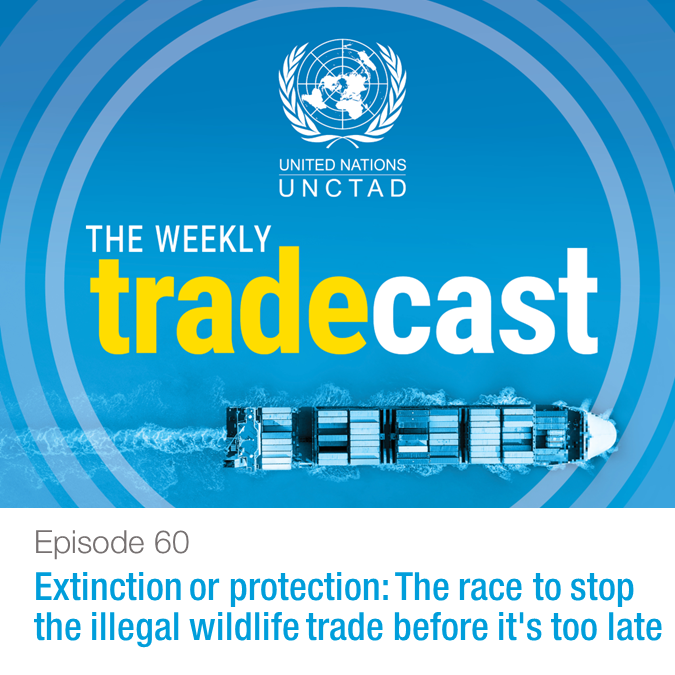 Extinction or protection: The race to stop the illegal wildlife trade before it's too late.

This episode of the #WeeklyTradecast looks at the illegal wildlife trade with @DavidJVivas1, @UNCTAD legal officer working on trade and environmental issues. bit.ly/3QtXRO4