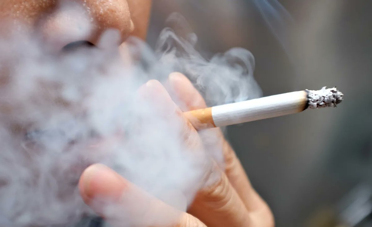 AurelianoStingi's tweet photo. Chi fuma ha il cervello più piccolo, ma è una conseguenza oppure una causa?

a small thread

1/n https://t.co/mX5PQINQ6W