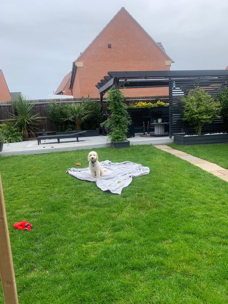 Day 23 TI Mel’s dog walk #AHPsActive #WeActiveChallenge