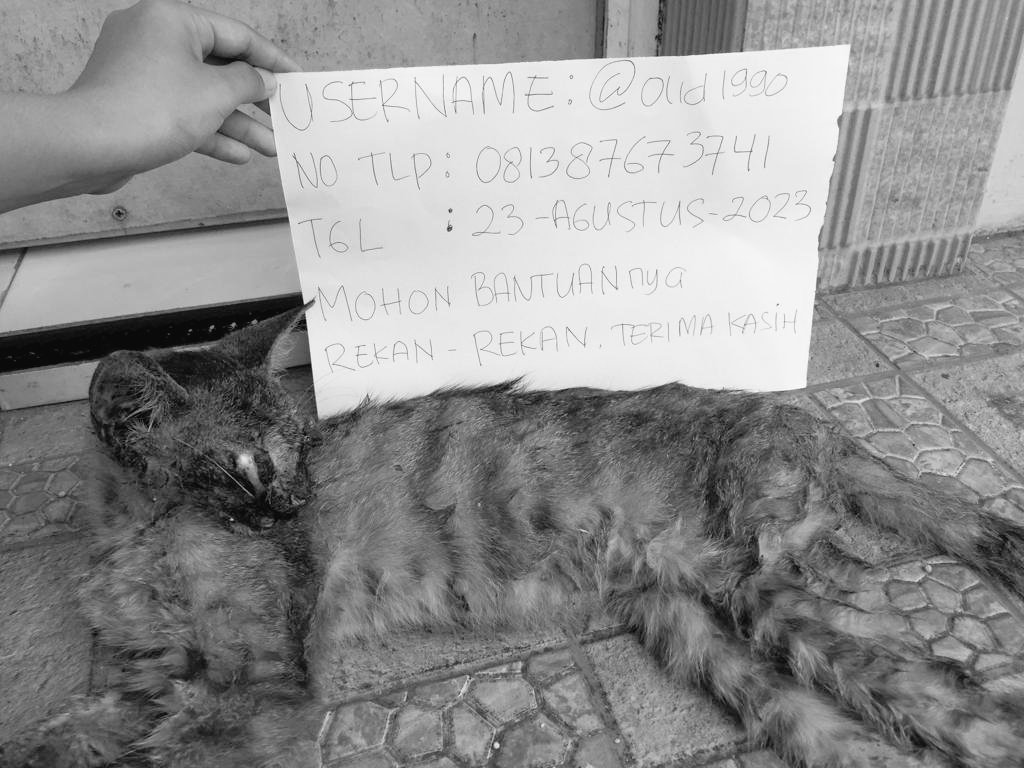 Khalid Noer.A tweet media