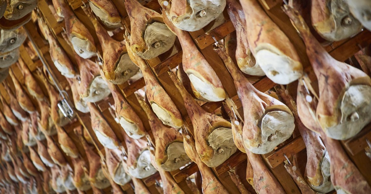 SanDanieleDOP's tweet photo. Vuoi scoprire tutto su come nasce un #ProsciuttoSanDaniele? 

Non perderti la rubrica dedicata alle fasi di lavorazione, leggi qui il primo articolo della serie! 👇🏼
https://t.co/K00bkNj2CL https://t.co/hjsl9mUGSA