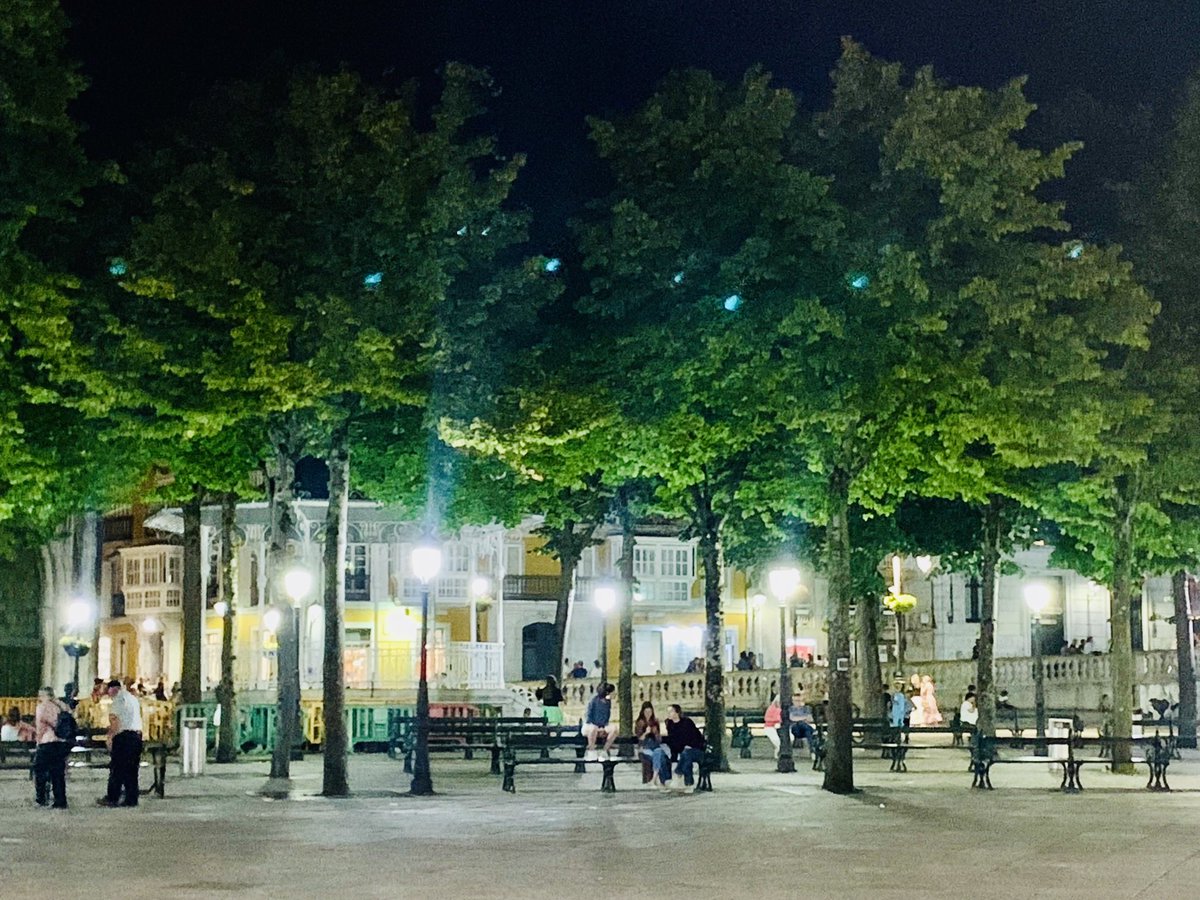 ninakillham's tweet photo. The importance of trees. #Lekeitio, Spain. #guardiantrees #savethetrees #trees https://t.co/G2lIt5gLNI