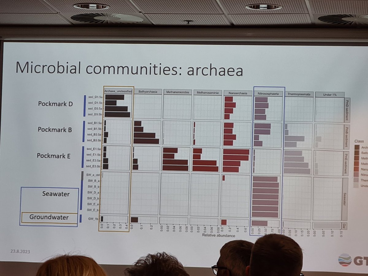 KaroliinaKoho's tweet photo. #Groundwater discharge into #balticsea influences local #sediment #microbialcommunities. @MicroecoLotta @GTK_FI #pockmark @FINMARI1 https://t.co/hc98YpUlN8