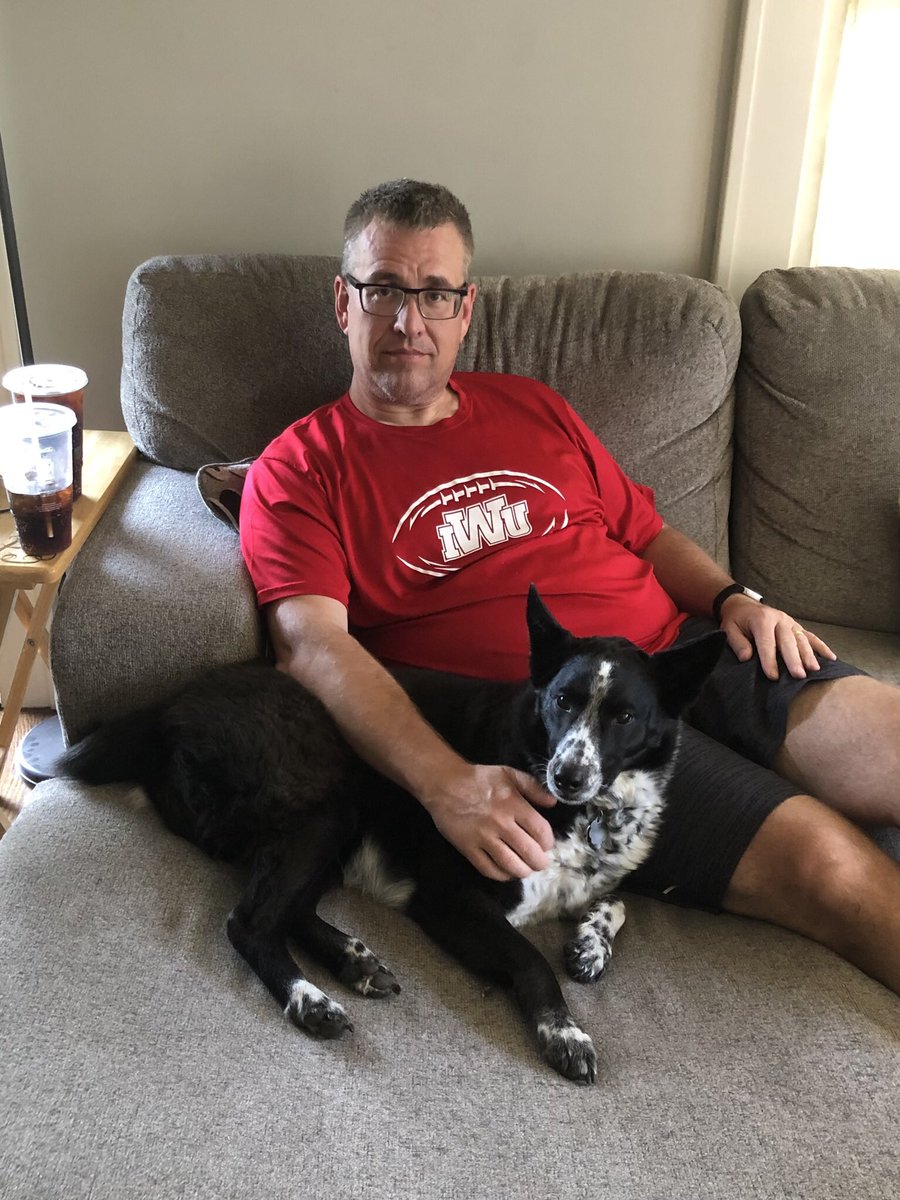 Wildcat Roundup! tweet media