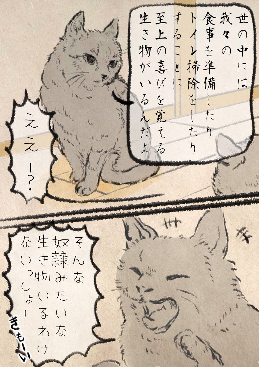ノラ猫くんは、人間が理解できない。 