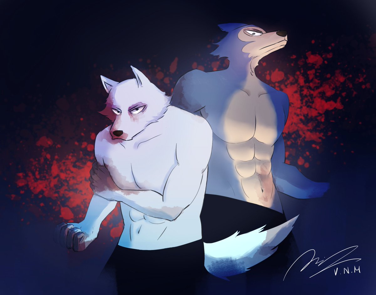 VMilkruku's tweet photo. Fighting 
#legoshi #BEASTARS #beastarsfanart #legoshi #shirtless #cute #furrycommunity #fanart #furryart #furrycommunity #furryartwork #furry #furries #furryfandom https://t.co/Sr6hxS5Dvi