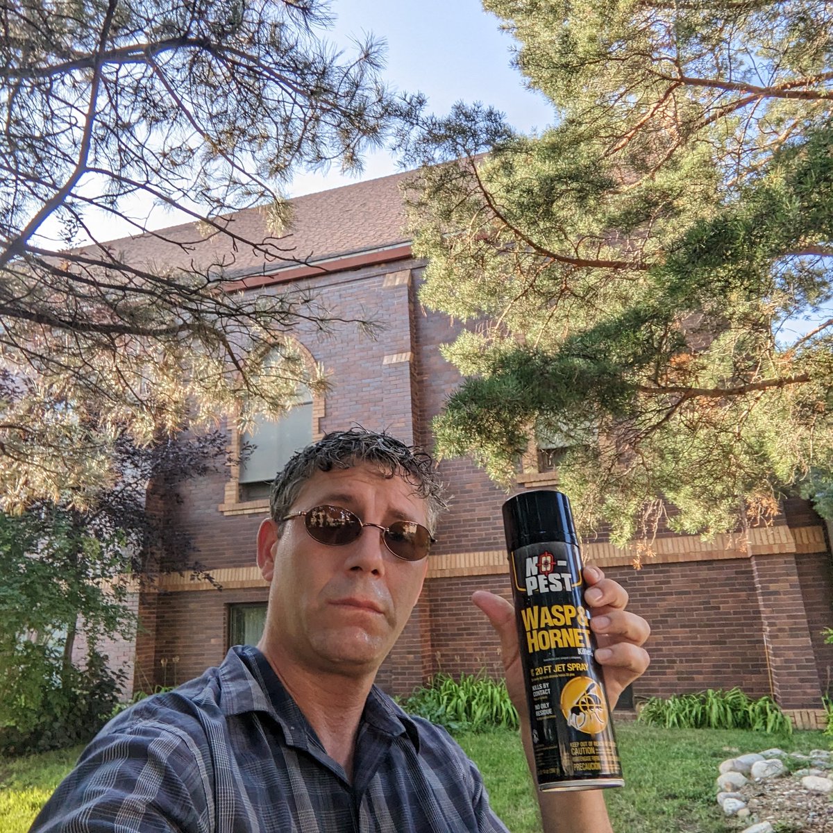 The wasps &amp; hornets have waged war and I am going into battle 😁