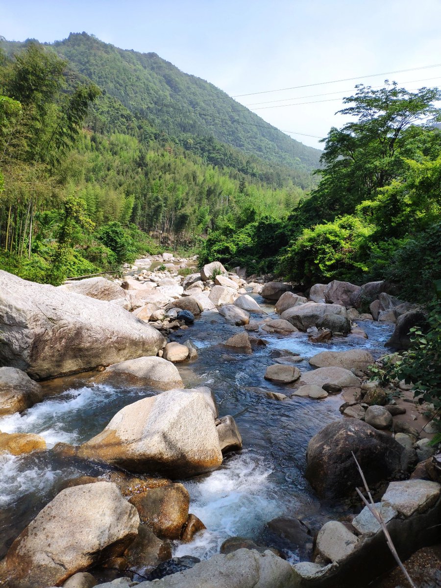 Yvette729148704's tweet photo. the charm of an enchanted rivulet, its melodious murmur harmonizing with the rustling leaves, creating a symphony of serenity.aam https://t.co/Ypg4Ev2CCb