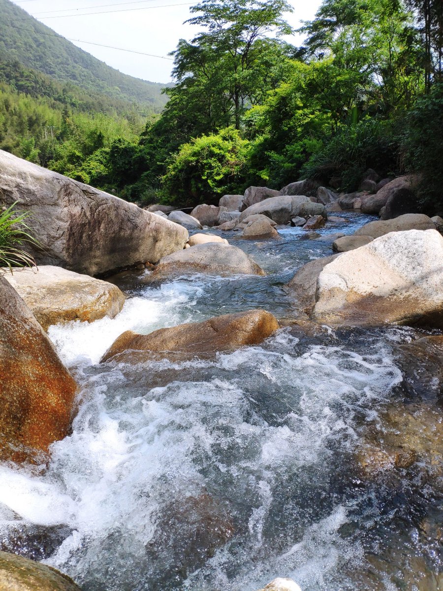 Yvette729148704's tweet photo. the charm of an enchanted rivulet, its melodious murmur harmonizing with the rustling leaves, creating a symphony of serenity.aam https://t.co/Ypg4Ev2CCb