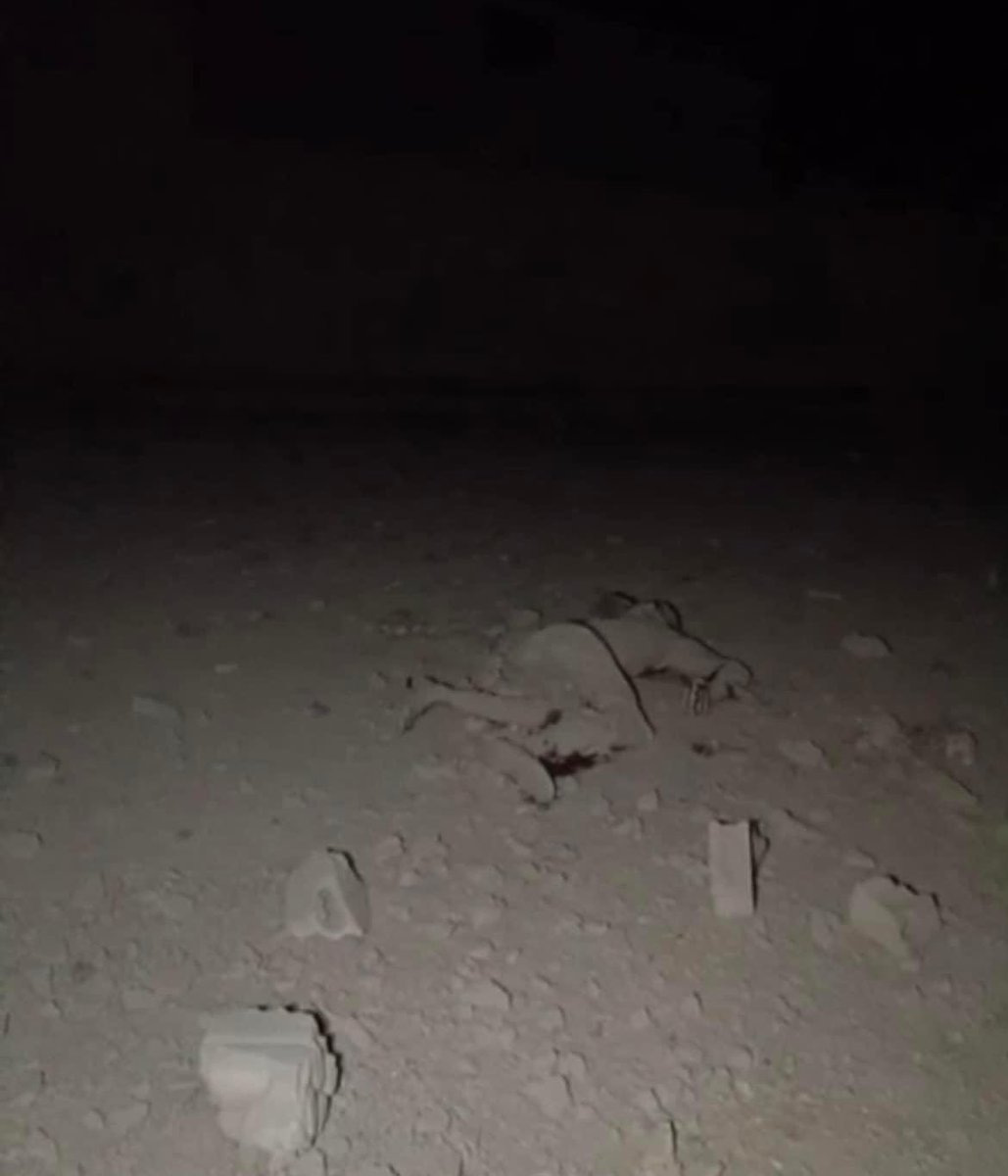 nedalalamari's tweet photo. A family fled to the countryside of Idlib after displacement, 
And as they couldn't afford the rent for a house, They found an abandoned water station and took shelter in its ruins, Today it was targeted by the criminal Russian warplanes, This lifeless body now in the darkness of Idlib's countryside belongs to a girl who was killed along with her family due to this Russian bombardment, The darkness in the video from which this image was captured is horrifying to a degree that the mind can't bear, It makes you wonder how this child spent her final moments in this darkness.

Russia is a terrorist state