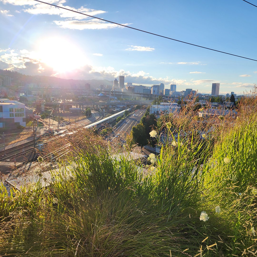 Invis_Thread's tweet image. We have a new home! Our Portland office space is officially up and running. After three years existing in the Remote era, coming together and collaborating in person are a welcome and invaluable boost to our creative process. Come say hello! #invisiblethread #design #xr #ar #mr