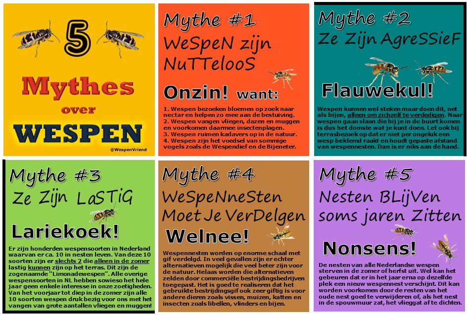 Bteam-Oisterwijk tweet media