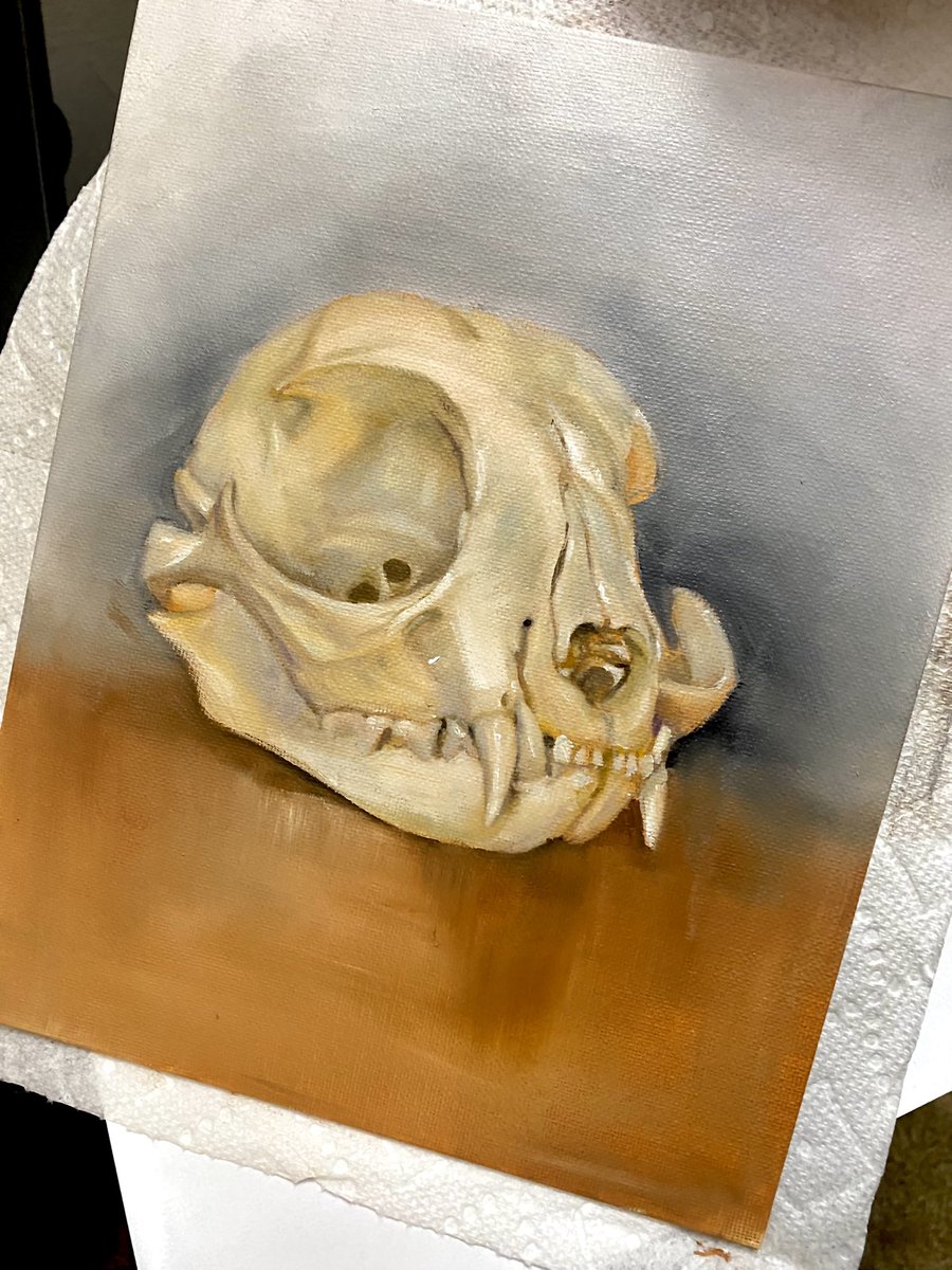 Another progress pic!
