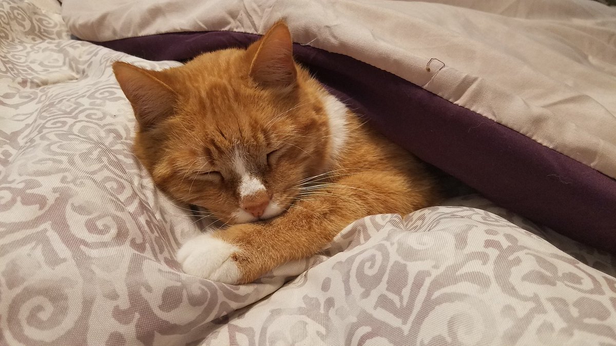 TerilynRea's tweet photo. Life is brief, but when it's gone
Love goes on and on

It's been a week. I'll miss him forever 💔 https://t.co/IYERzCqeyp