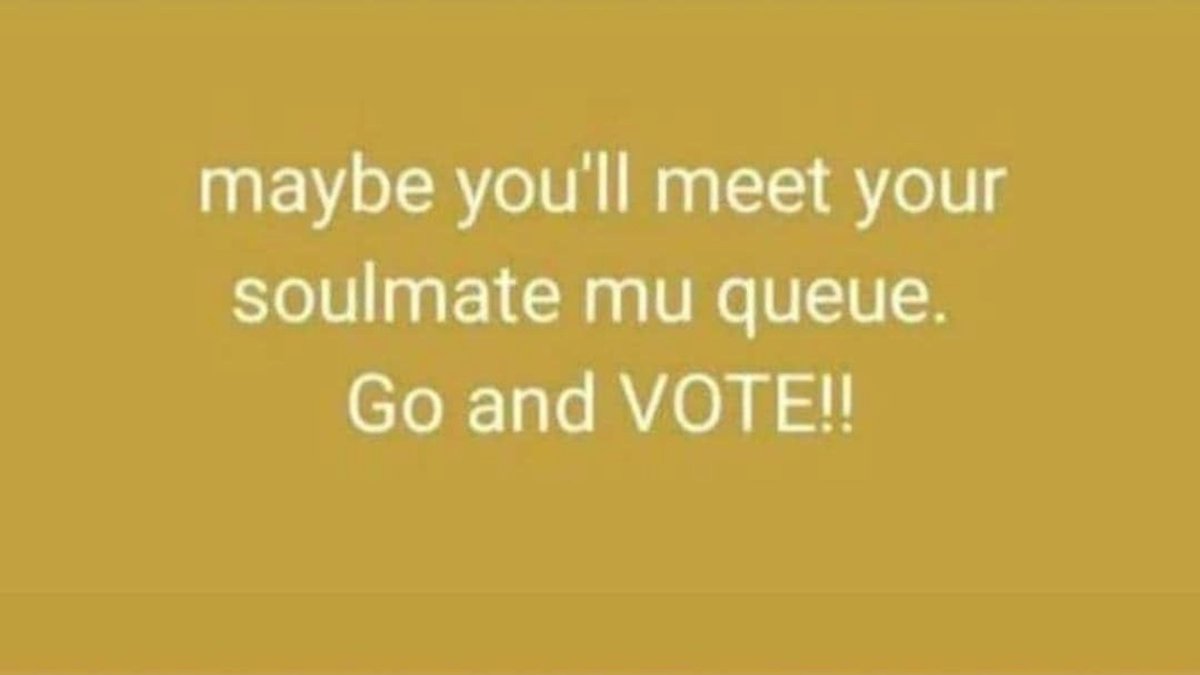 Go vote 🗳️