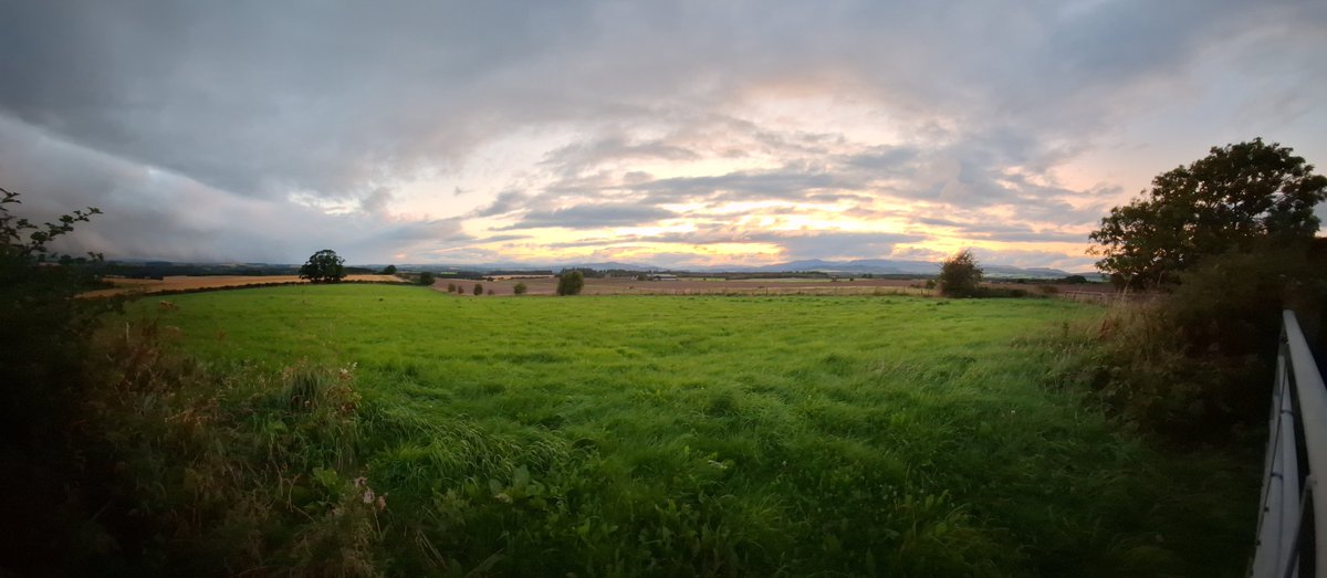 Nature's tapestry ... complimentary inspiration!
#outandaboutscotland