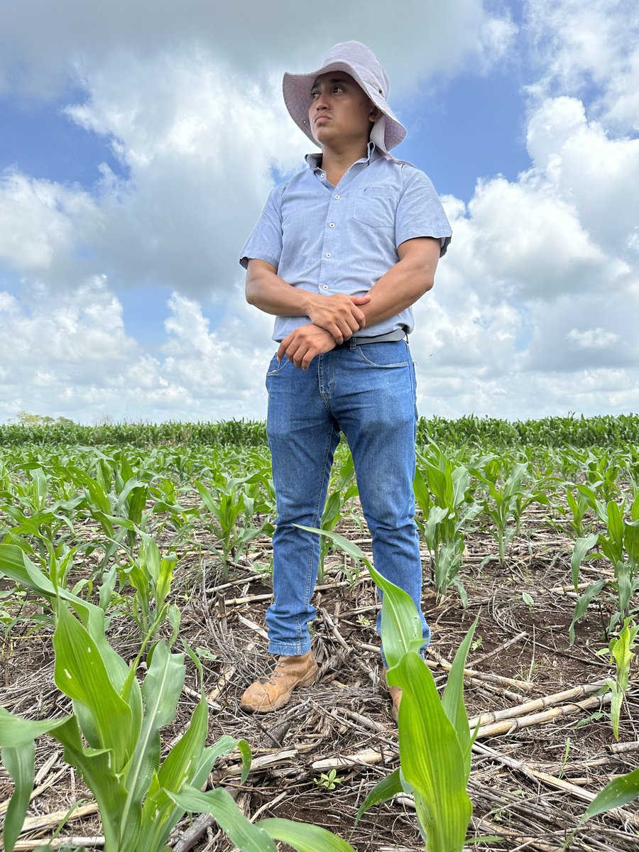 Sieg_SAS's tweet photo. #nextgen #farmers in the Yucatán ⁦@CIMMYT⁩ Hub inspiration: making conservative agriculture a reality, grappling with climate change, diversifying crops and linking to markets. “Just give us the land and let us try” response to skeptical Boomer farmers https://t.co/sLavDhqkOk