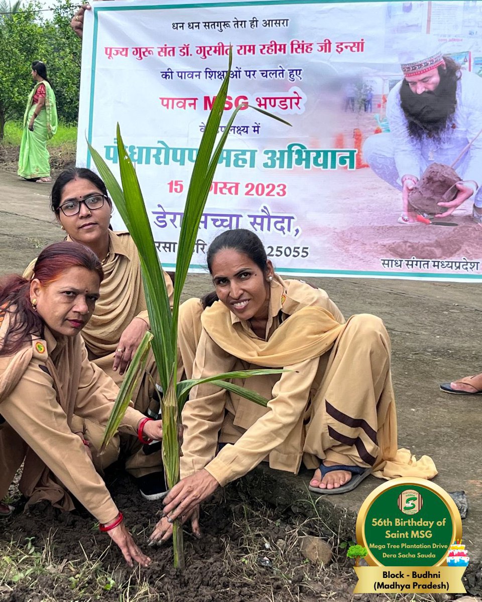 GreenSwelfares's tweet photo. Creating a better tomorrow for everyone!! Tree Plantation By Dera Sacha Sauda Volunteers from Budhni, MP on the occasion of Saint Dr. MSG's Birthday. #56thBirthday #SaintDrMSG #DeraSachaSauda #TreePlantation https://t.co/SWwLLcifjh