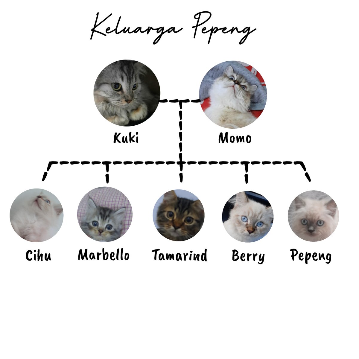 pepengbison's tweet image. Keluargaku (selain admin yah) 😻🫶🏻