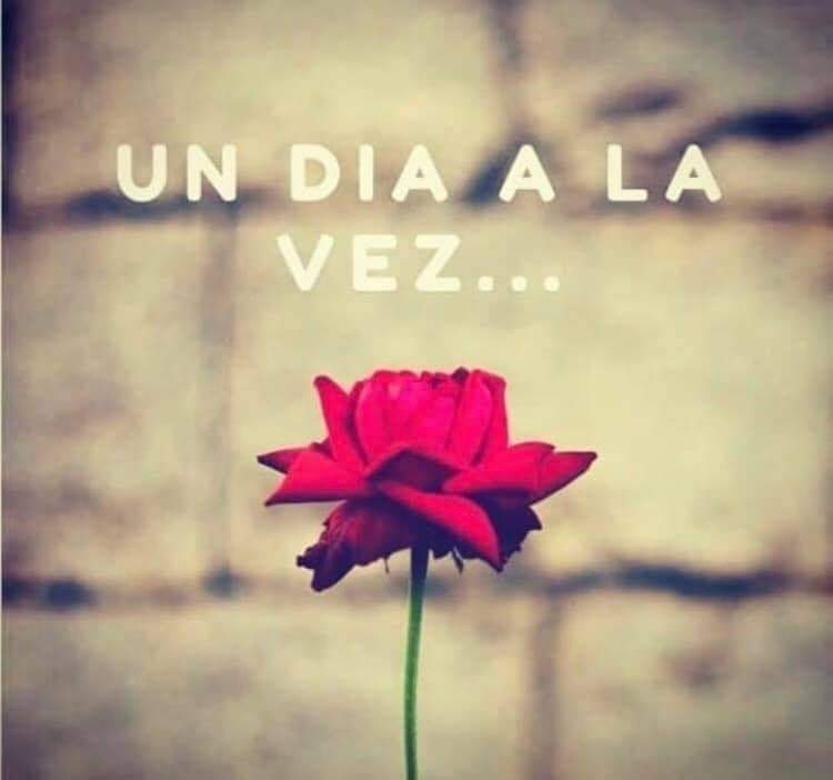 espiritual_ser's tweet photo. https://t.co/YBRmXDDXZv