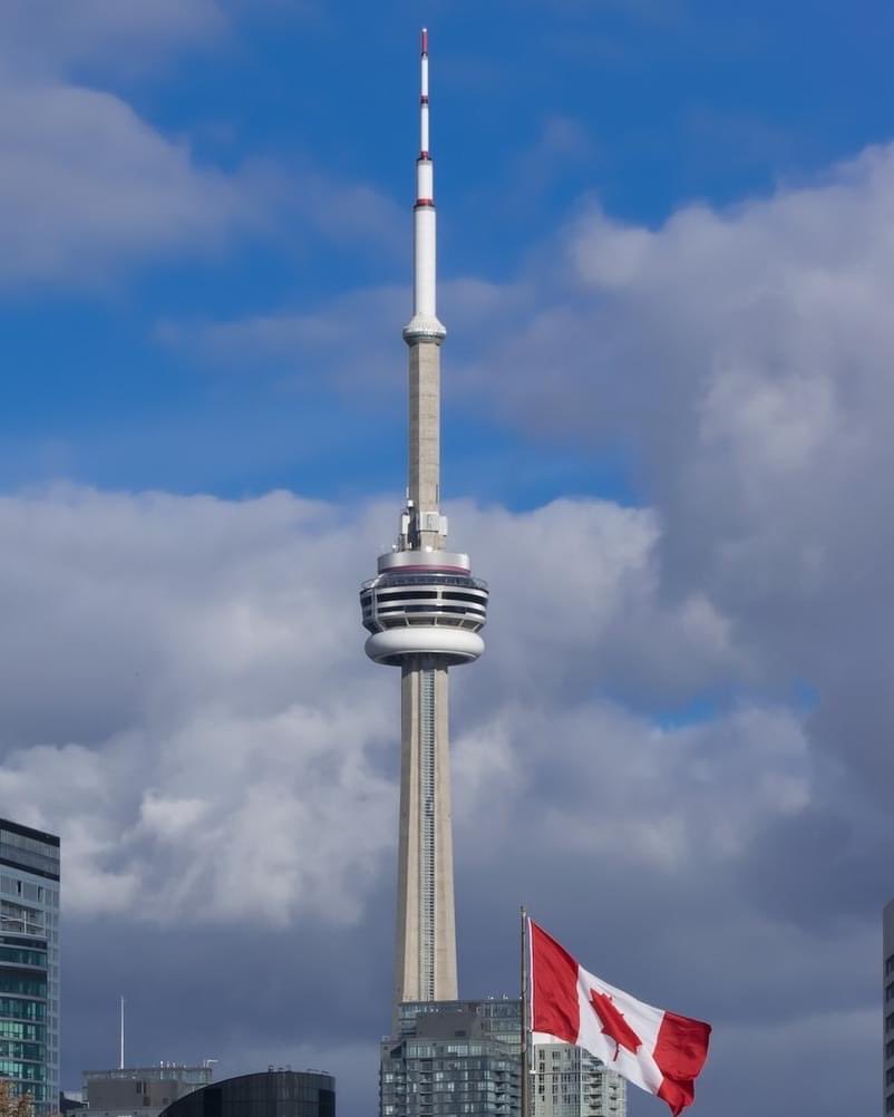 TorontoWallies's tweet photo. Home https://t.co/6nxtbvqrpr