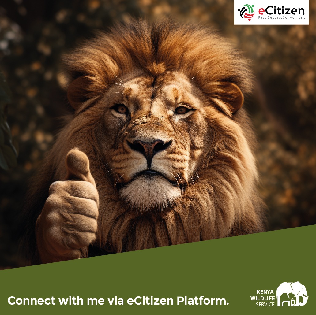 KWSKenya's tweet photo. Visitors planning to explore @KWSKenya managed national parks, reserves, and sanctuaries are advised to create personal accounts on the eCitizen Government platform by visiting https://t.co/IjmOzeFXpv and make park payments in advance for a fast and convenient park entry. https://t.co/CJxnnZ2r81