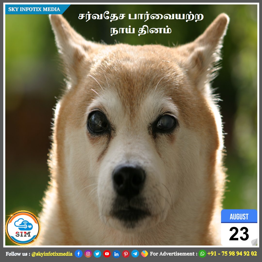 ஆகஸ்ட் 23 : சர்வதேச பார்வையற்ற நாய் தினம் 🐕

❤️ @skyinfotixmedia

#skyinfotixmedia #sim #salem #tamilnadu #india #salemdistrict #salemcity #salemtamilnadu
#salemnews #internationalblinddogday #blinddog #blinddogsofinstagram #dogsofinstagram #dog #rescuedog #adoptdontshop #dogs