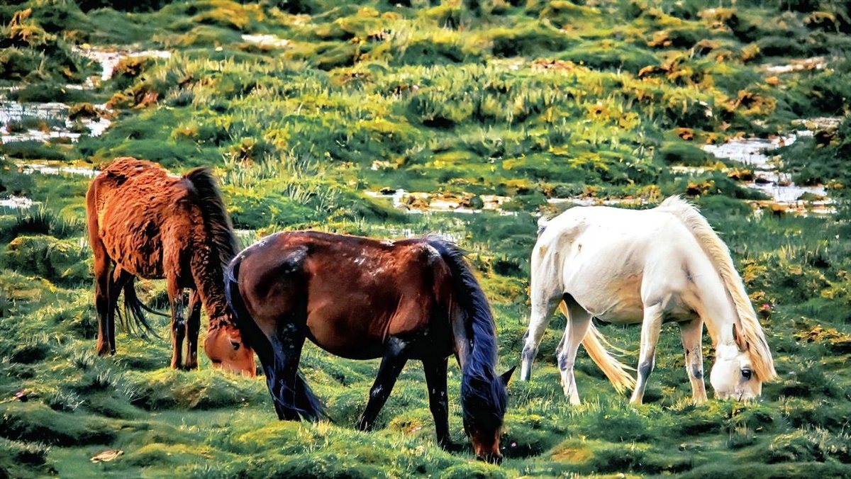 Let’s behold the beauty of Zhongba County in Shigatse, the second-largest city in Tibet. #ChinaSaysHello