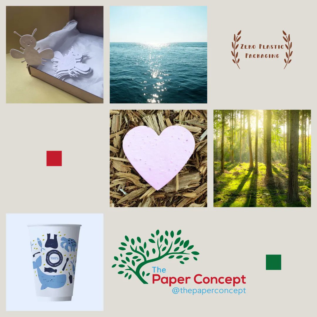 Thepaperconcept's tweet photo. Elevate Your Events the Eco-Friendly Way!

Celebrate responsibly with our elegant seed paper partyware that grows into beautiful flowers. Replace plastic with biodegradable alternatives. Discover the range at https://t.co/4bad9WsLC7 🌼 #GreenParties #SustainableCelebrations https://t.co/N8ESXGgWtN