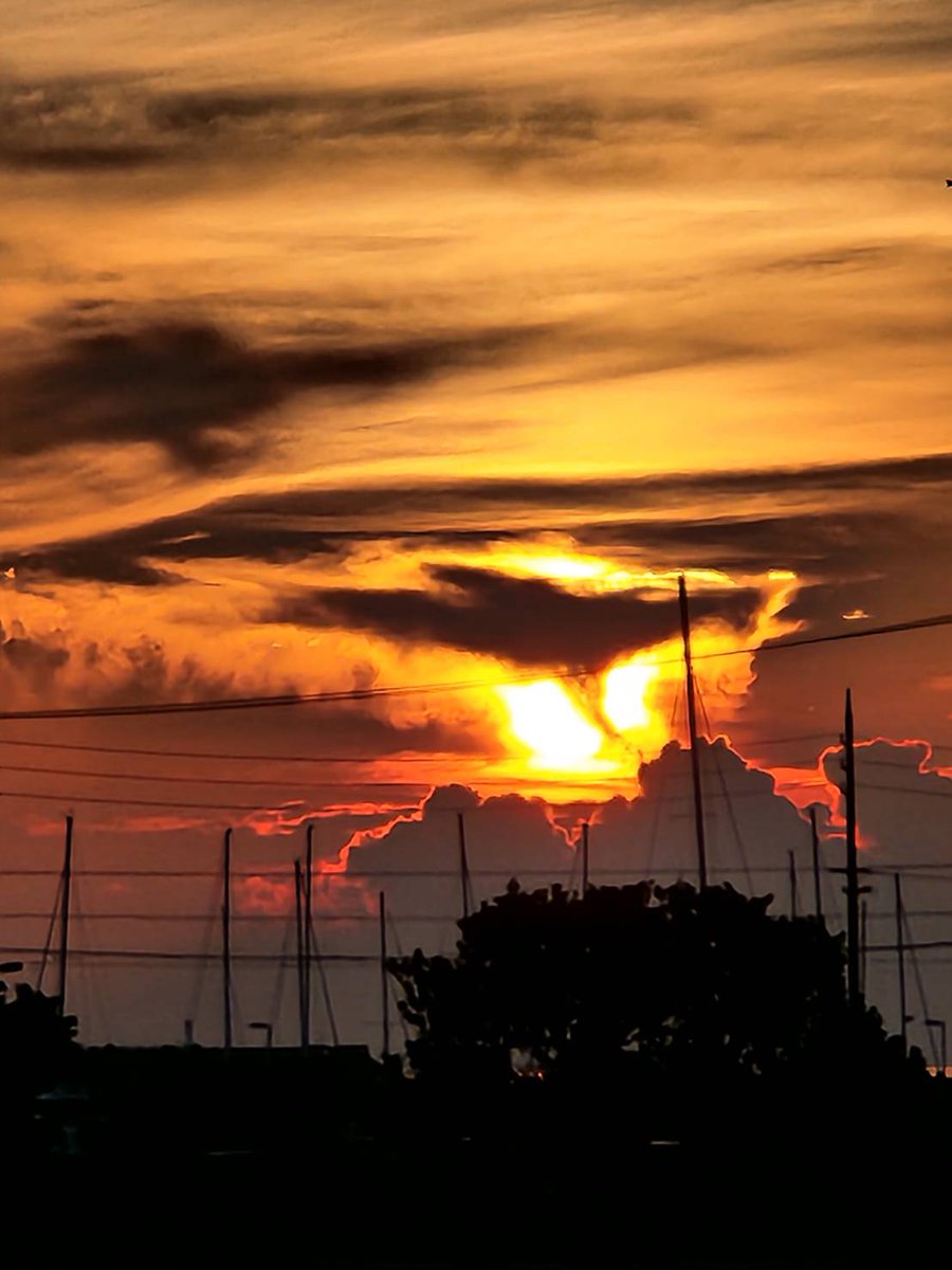 今日の朝日。鳳凰が降り立ったみたい。鳳凰は幸運をもたらすシンボルらしい。　みなさんに幸運が降りてきますように
#鳳凰　#幸運　#朝日