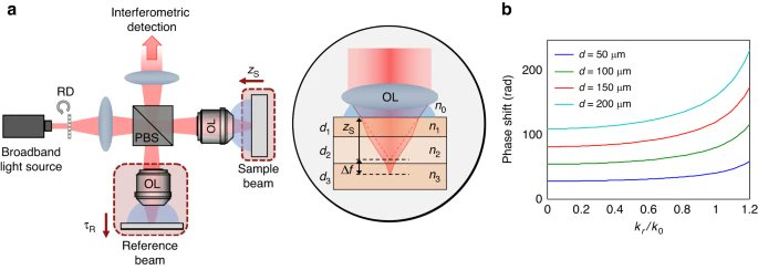 LightSciAppl's tweet image. #LSA_Highlight: [Research Article] Mapping nanoscale topographic features in thick tissues with speckle diffraction tomography. @MIT @CUHKofficial @BU_Tweets #Imaging_and_sensing #Interference_microscopy
nature.com/articles/s4137…