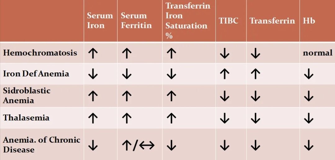 NutrioSci's tweet photo. Iron related disease https://t.co/6YW7hS6JB8