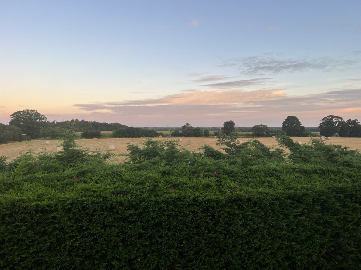 BDCScaffolding's tweet photo. Morning Twitter, sorry X 😂. One great advantage of moving our yard to the countryside is views like this 👀 https://t.co/qd7JP0BxZ8