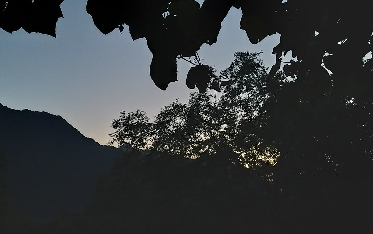 Up, up with the lark and move those fingers across the keyboard #5amwritersclub! Got some words in, now the day job is calling. Hope you all find those words today #WritingCommunity, Wednesday words.

#softscifi #scifi #SFF #amediting #amwriting