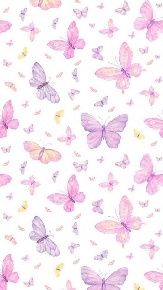 ✨️🎀 • 𝓟𝓲𝓷𝓴 𝓓𝓪𝓷𝓸𝓷𝓲𝓷𝓱𝓸 • 🎀✨️ tweet media