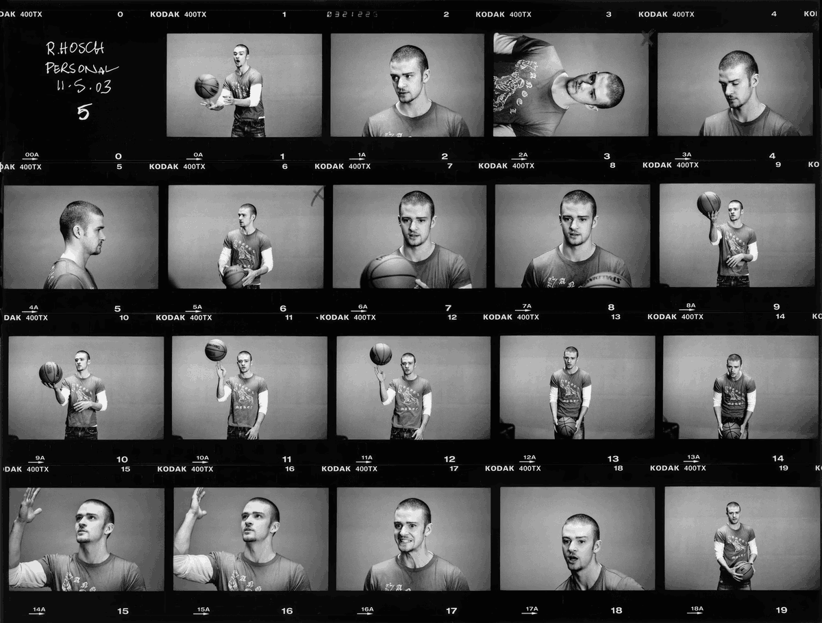 Europe Birbs (🦉,🇪🇺) tweet media