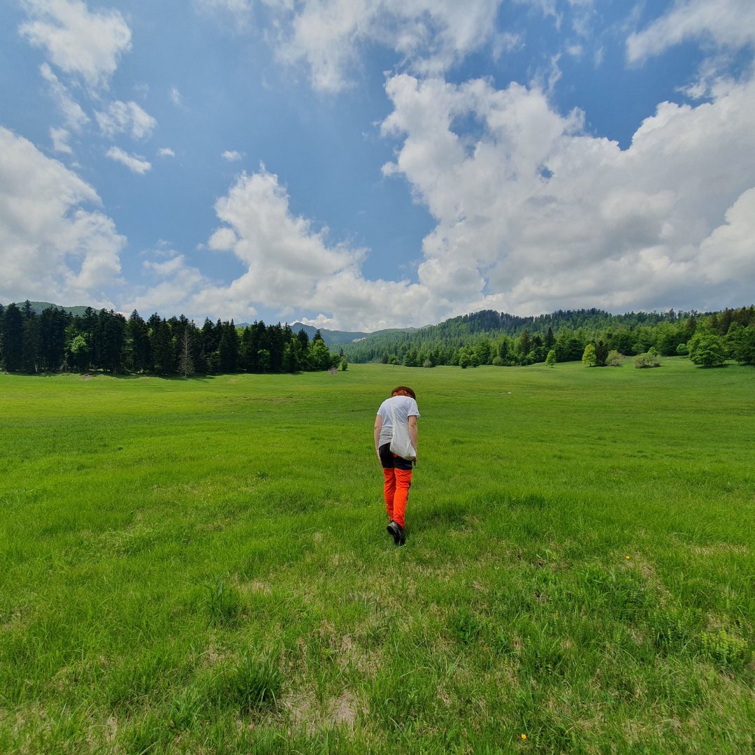 Cro Buzz Klima tweet media