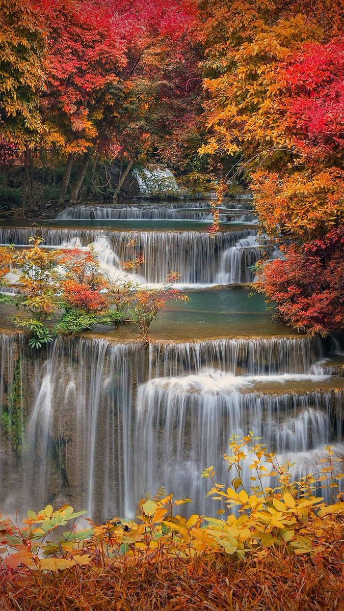 Have a nice day