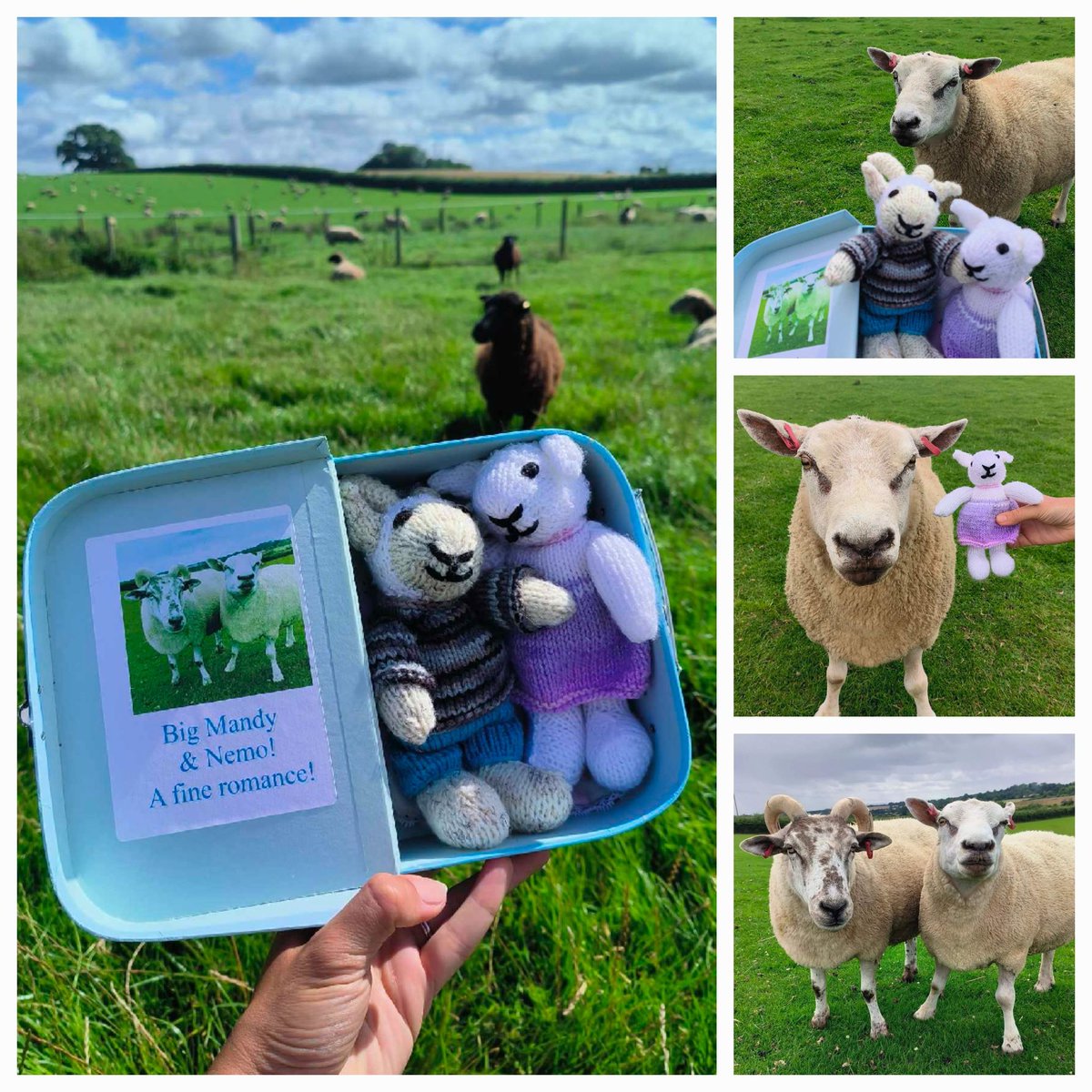 fars_sanctuary's tweet photo. Some AMAZING humans support our work &amp; give their time &amp; skill &amp; artistry so v generously to help our animals 🙏 @KarenMa31053338 for eg has celebrated our newest power couple #BigMandy &amp; #NemoSheep by creating these STUNNING knitted characters 🐑🐏💒🧶🥰 Aren't they WONDERFUL?! https://t.co/nMTUvLDNCP